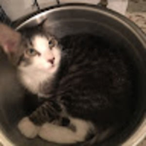 Meet your Posher, Georgia